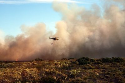 organic farmer bushfire appeal